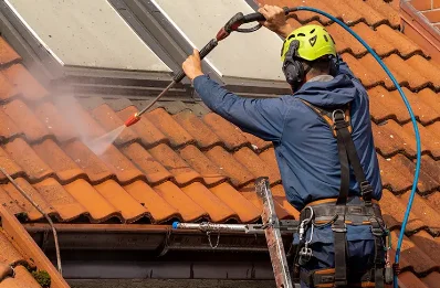 Démoussage et hydrofuge de toiture à Sallagriffon
